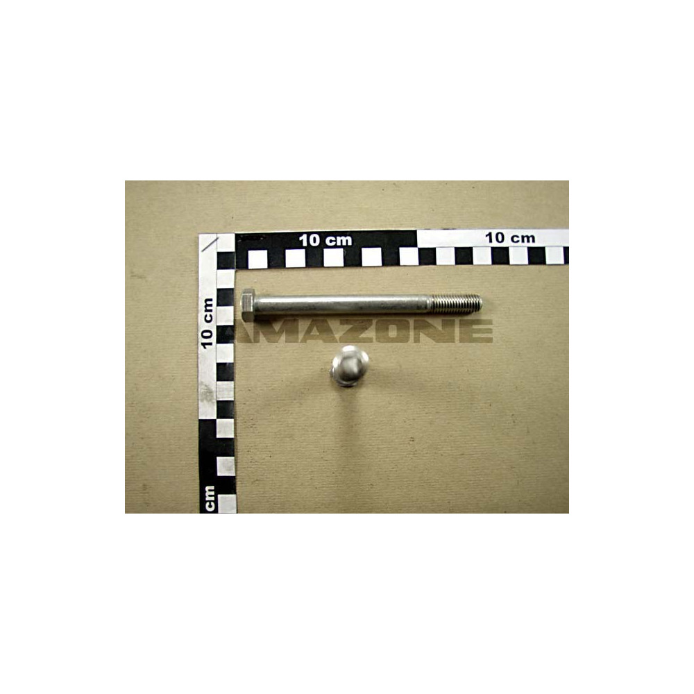 Vis 10X120 4014 A4-70 DB499 Amazone