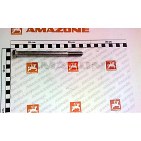 Vis 12 X 160 DB522 Amazone