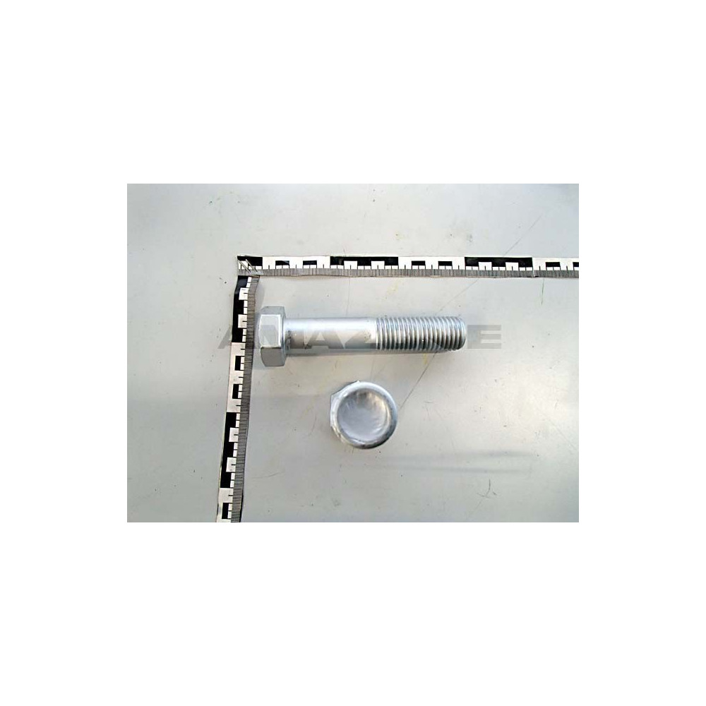 Vis 24 X 120 DB529 Amazone