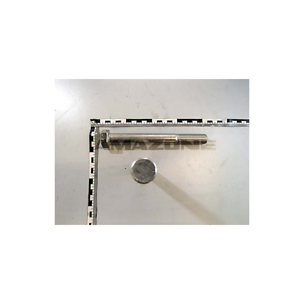 Vis 20X180 A2-70 DB531 Amazone