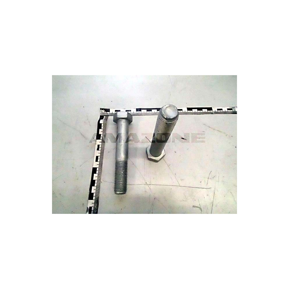 Vis 20 X 120 10.9 DB545 Amazone