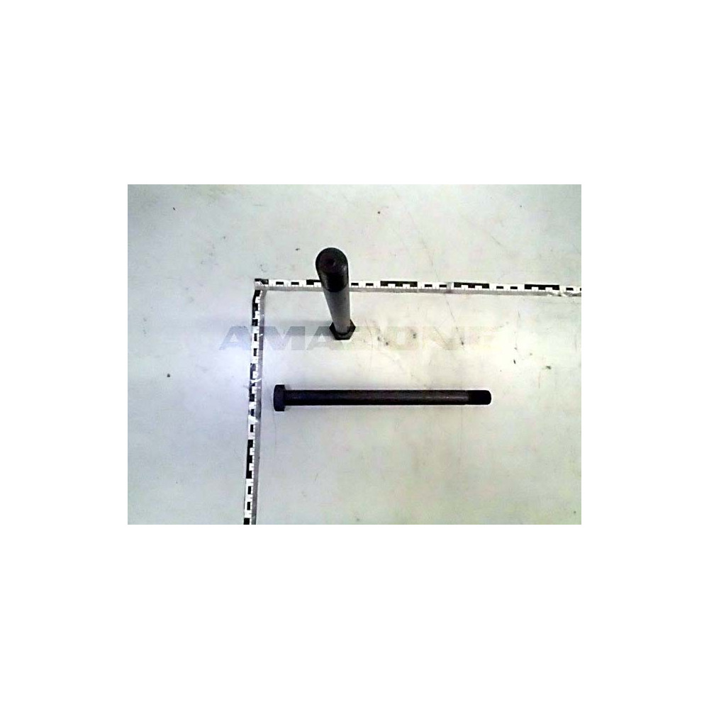 Vis 20 X270 10.9 DB565 Amazone