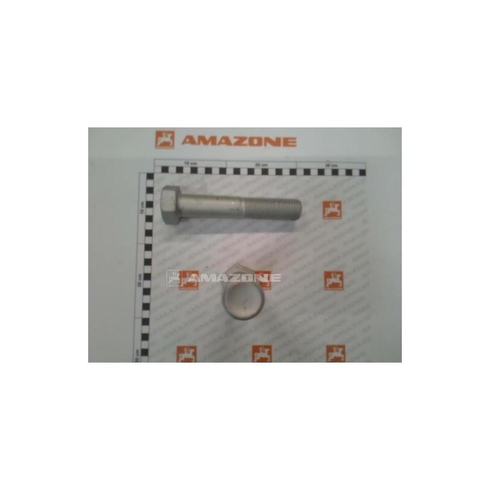 Vis 30X160 10.9 4014 DB576 Amazone
