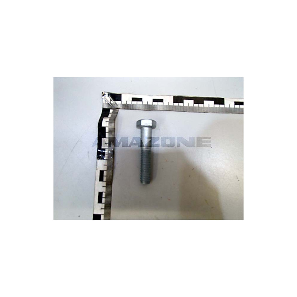 Vis 10 X 50 12.9 DB577 Amazone