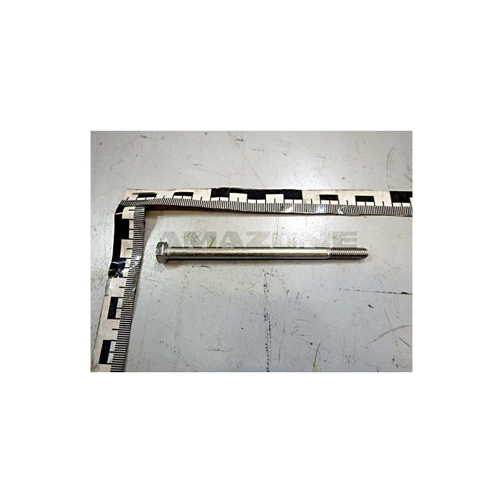Vis 6 X 100 DB586 Amazone