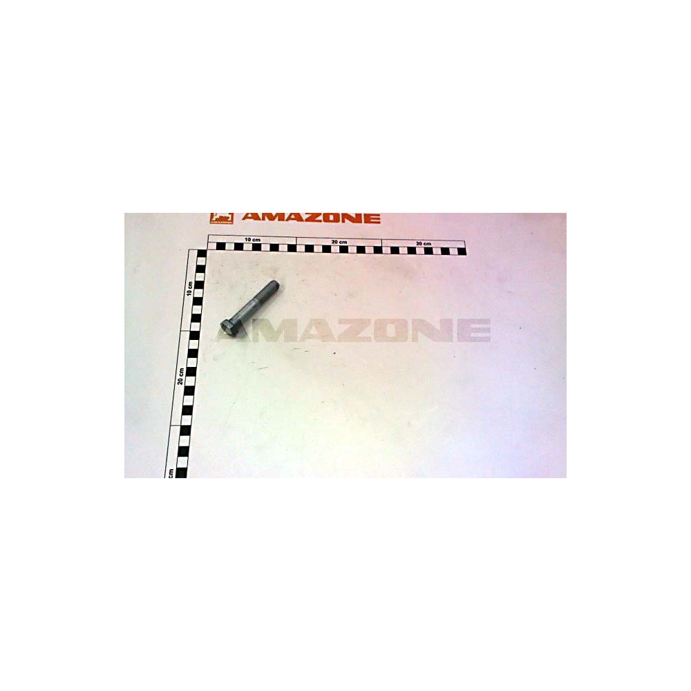 Vis 12 X 70 12.9 DB592 Amazone