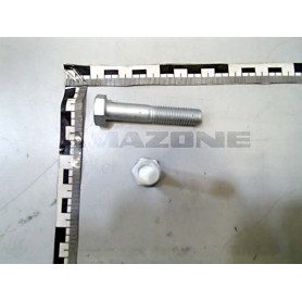 Vis 12 X 65 12.9 DB593 Amazone