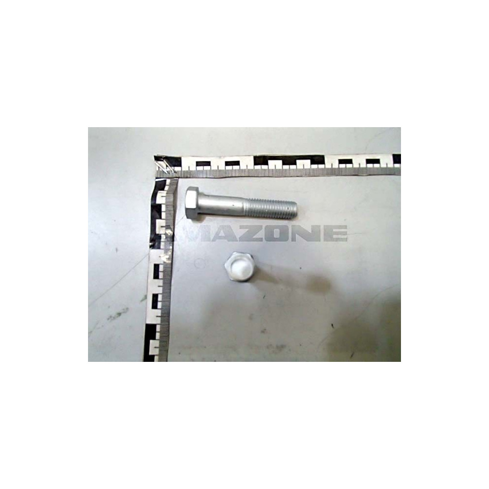 Vis 12 X 65 12.9 DB593 Amazone