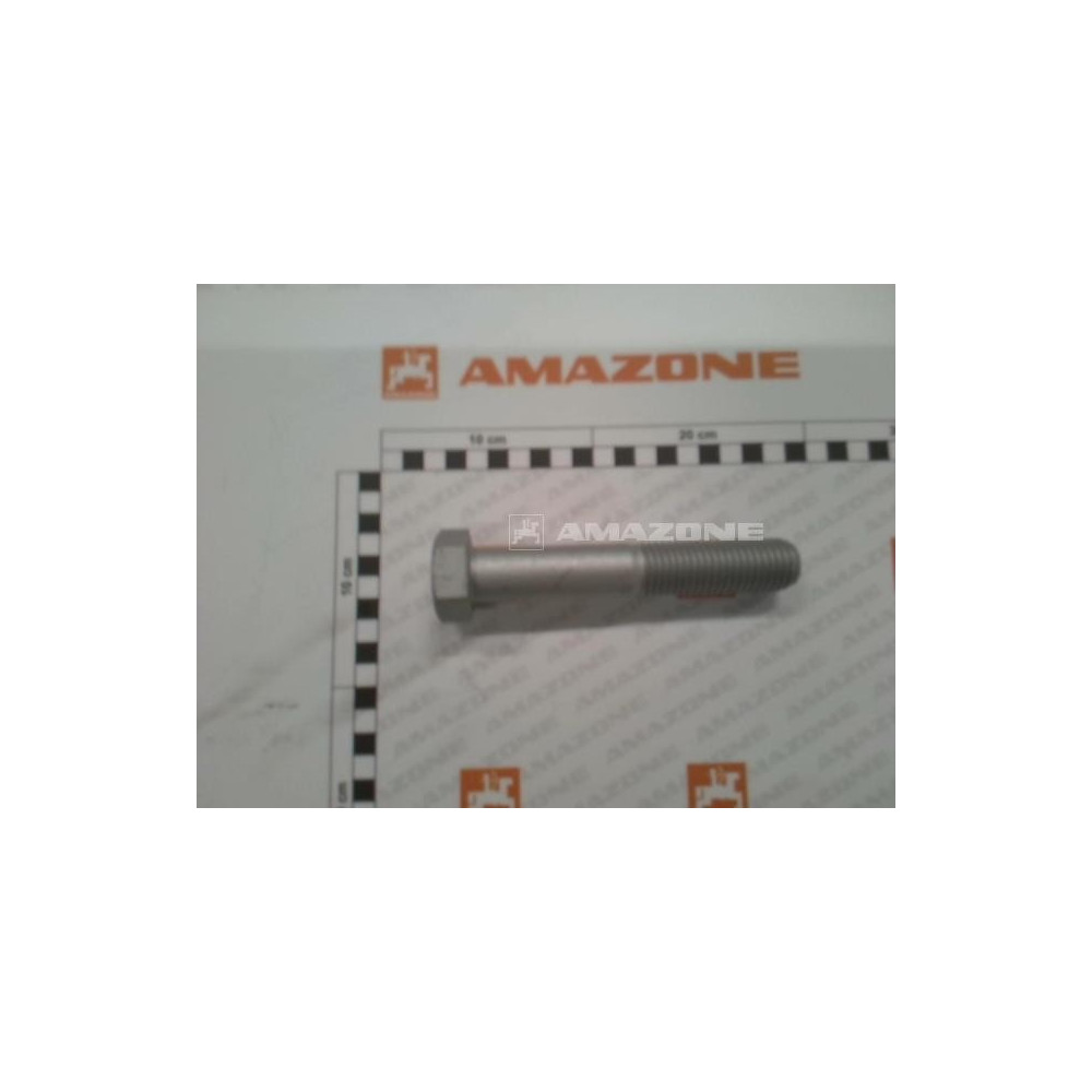 Vis 24 X 140 DB595 Amazone