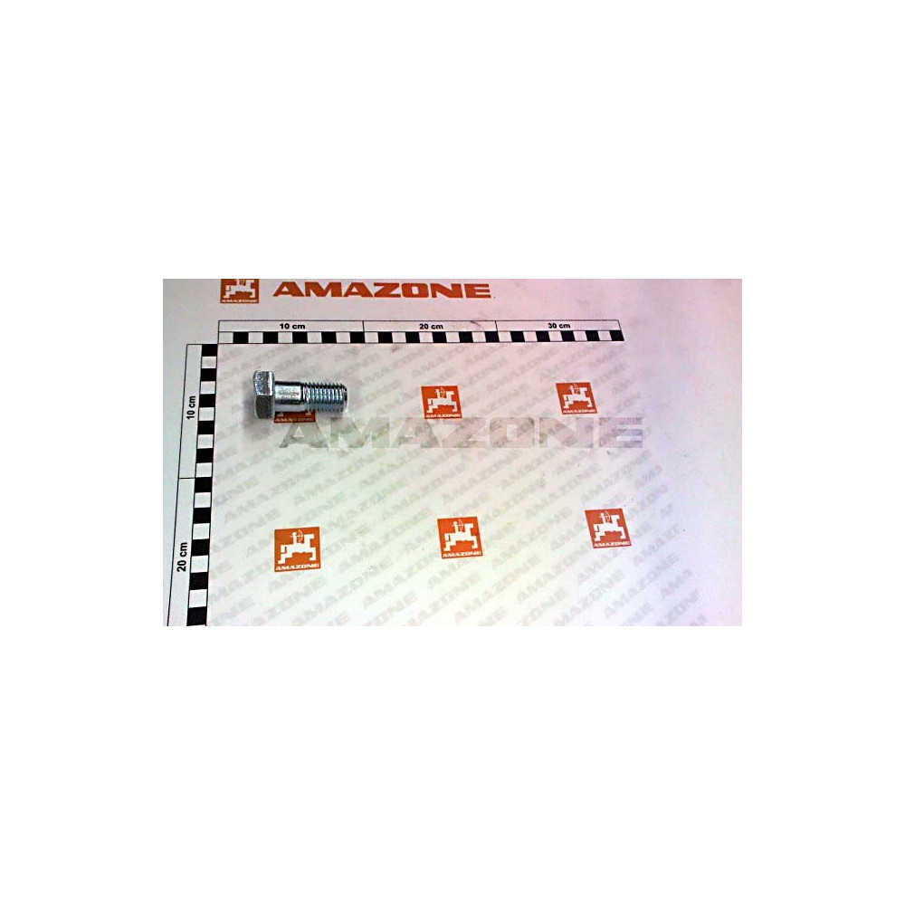 Vis 20 X 45 10.9 DB636 Amazone