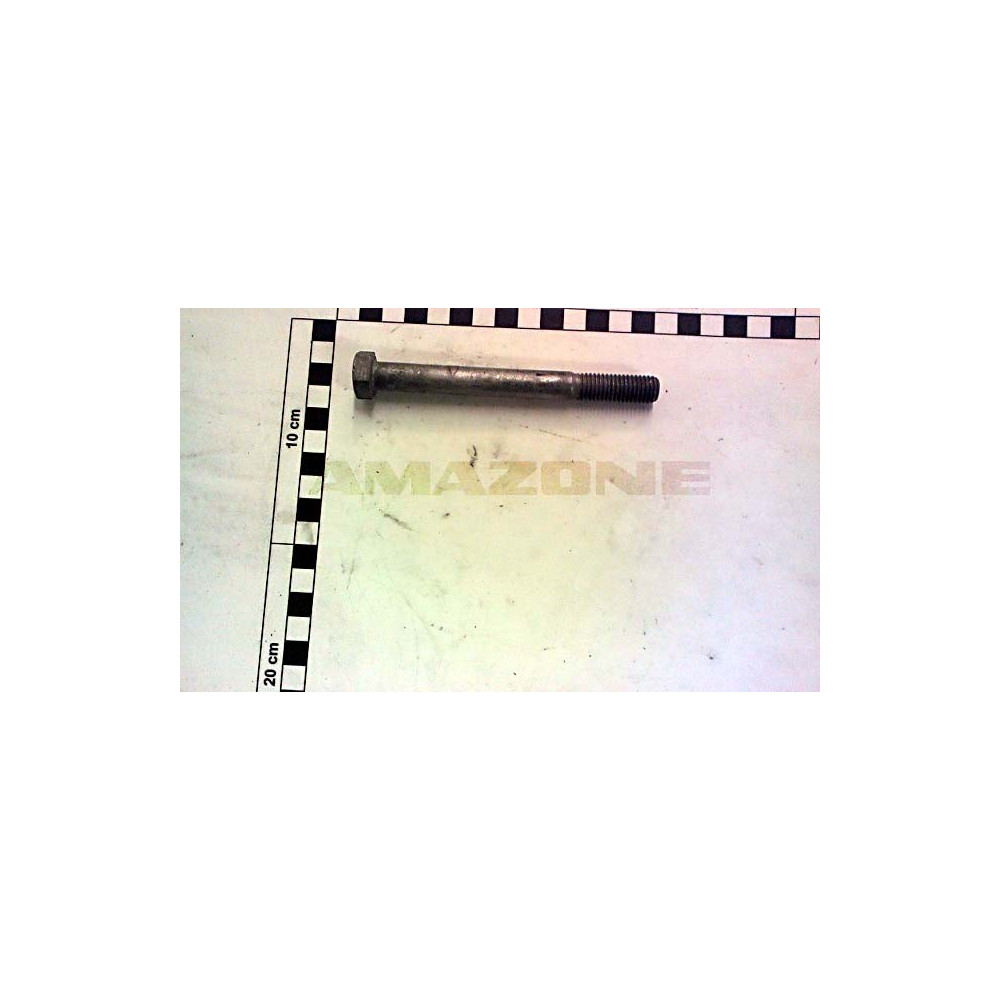Vis 12 X 120 DB684 Amazone