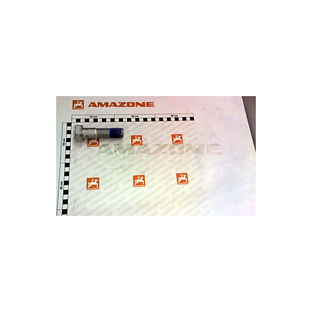 Vis 24 X 90 10.9 DB698 Amazone