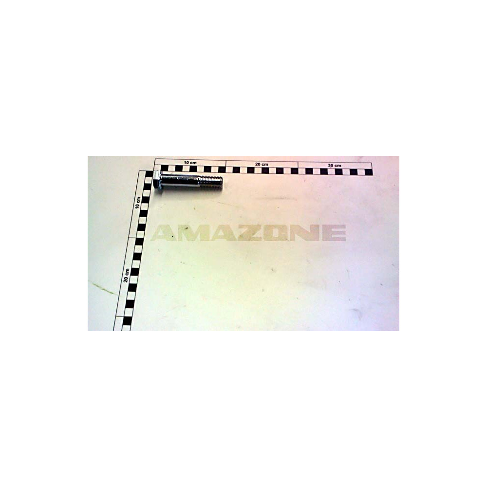 Vis M16X80 10.9 DB673 Amazone
