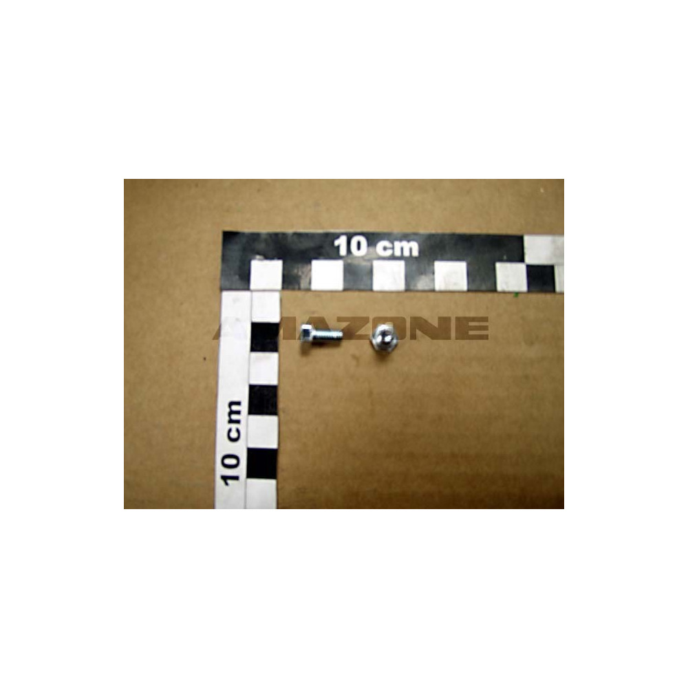 Vis 05X 10 4017 8.8 A2G DC004 Amazone