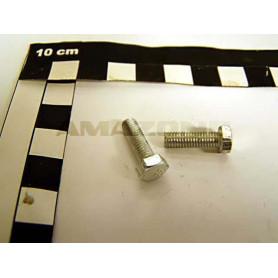 Vis 05X 16 933 8.8 A2G DC007 Amazone