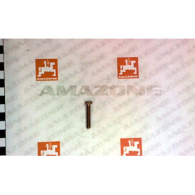 Vis 05X 30 4017 8.8 A2G DC009 Amazone