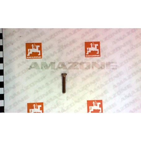 VIS 05X 30 4017 8.8 A2G Réf. DC009 AMAZONE VIS 05X 30 4017 8.8 A2G Réf. DC009 AMAZONE