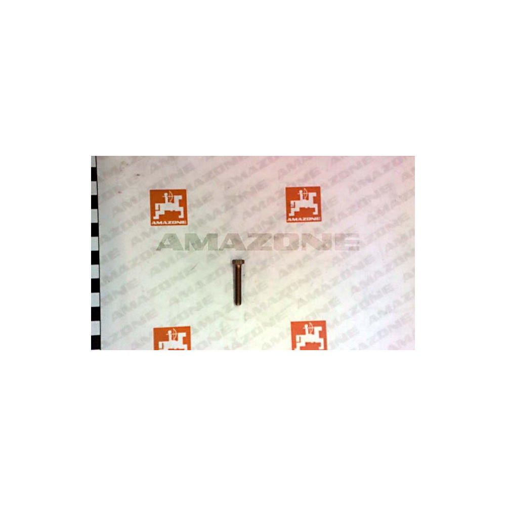 Vis 05X 30 4017 8.8 A2G DC009 Amazone