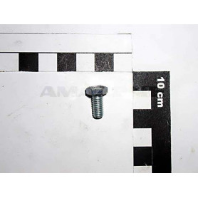 Vis 06X 12 4017 8.8 A2-70 DC012 Amazone