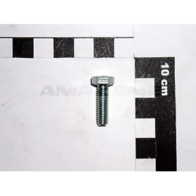 Vis 06X 20 4017 8.8 A2G DC018 Amazone