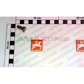 Vis 06X 16 4017 A2-70 DC016 Amazone