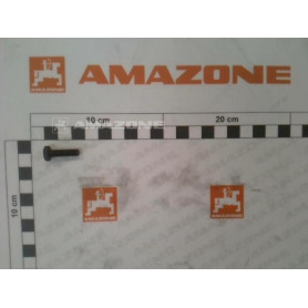 Vis 06X 20 4017 8.8 DC017 Amazone