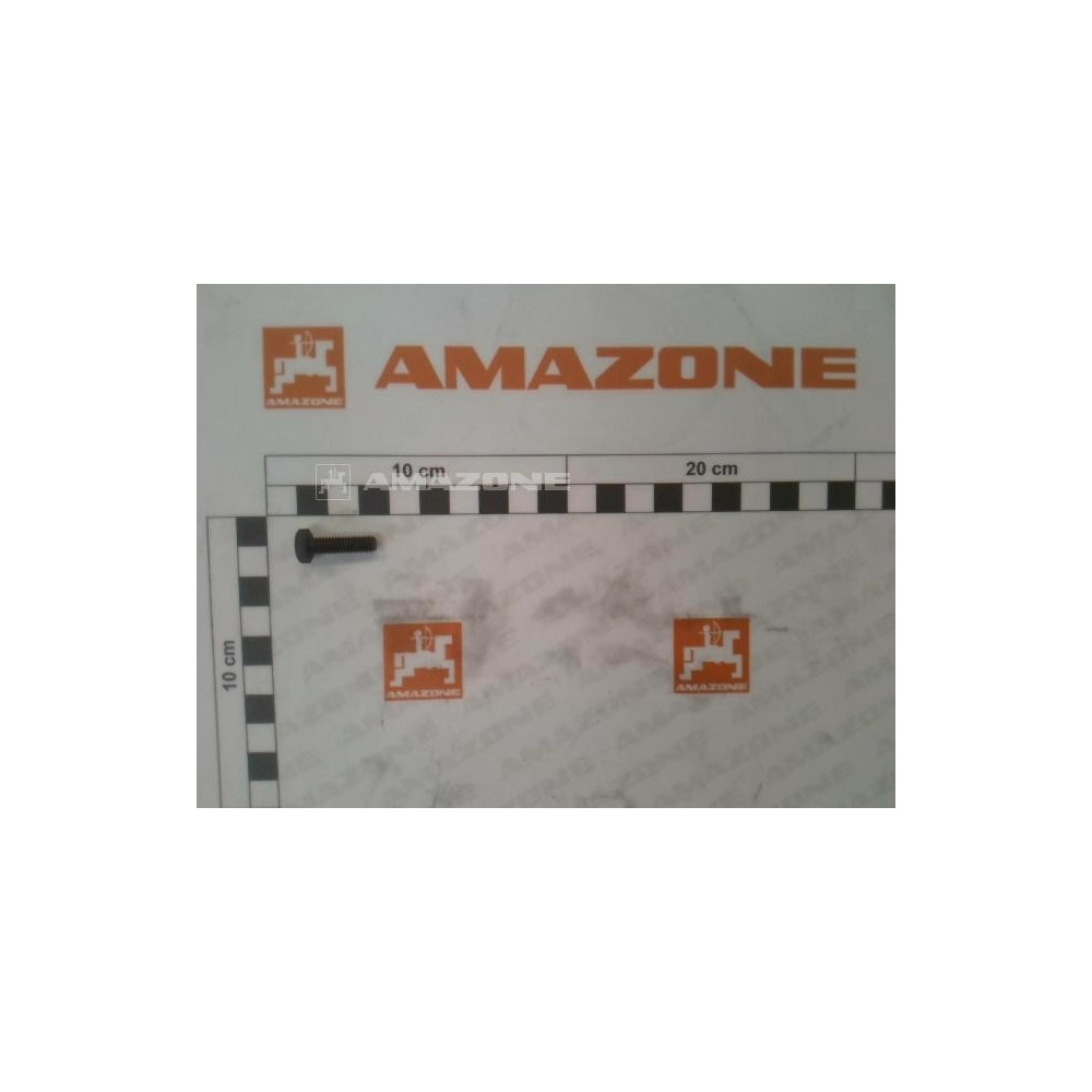 Vis 06X 20 4017 8.8 DC017 Amazone
