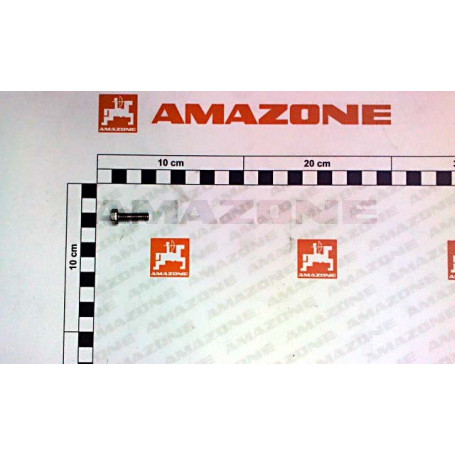 VIS 06X 20 4017 A2-70 Réf. DC019 AMAZONE VIS 06X 20 4017 A2-70 Réf. DC019 AMAZONE