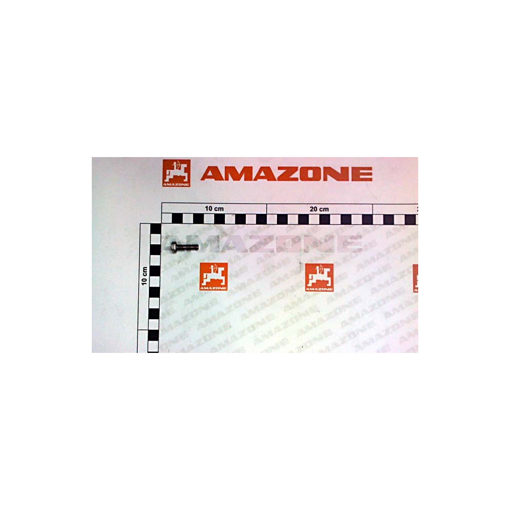 Vis 06X 20 4017 A2-70 DC019 Amazone