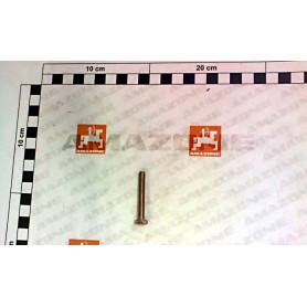 Vis 06X 40 4017 8.8 A2G DC023 Amazone
