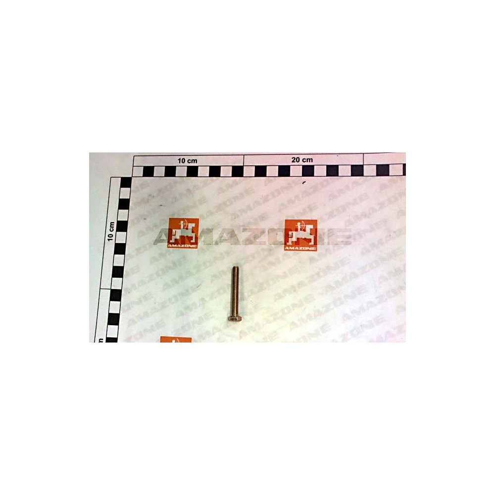 Vis 06X 40 4017 8.8 A2G DC023 Amazone