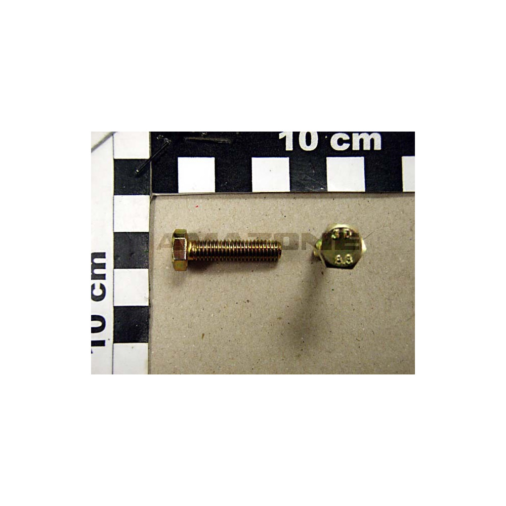 Vis 06X 25 933 8.8 A2G DC021 Amazone