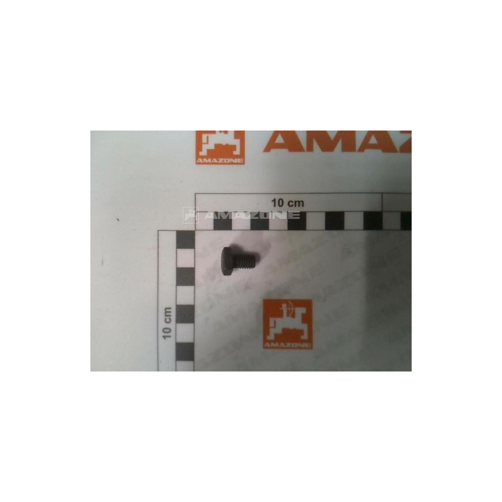 Vis 08X 12 4017 DC024 Amazone
