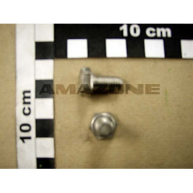 Vis 08X 16 4017 8.8 A2-70 DC028 Amazone