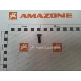 Vis 08X 20 4017 8.8 DC029 Amazone