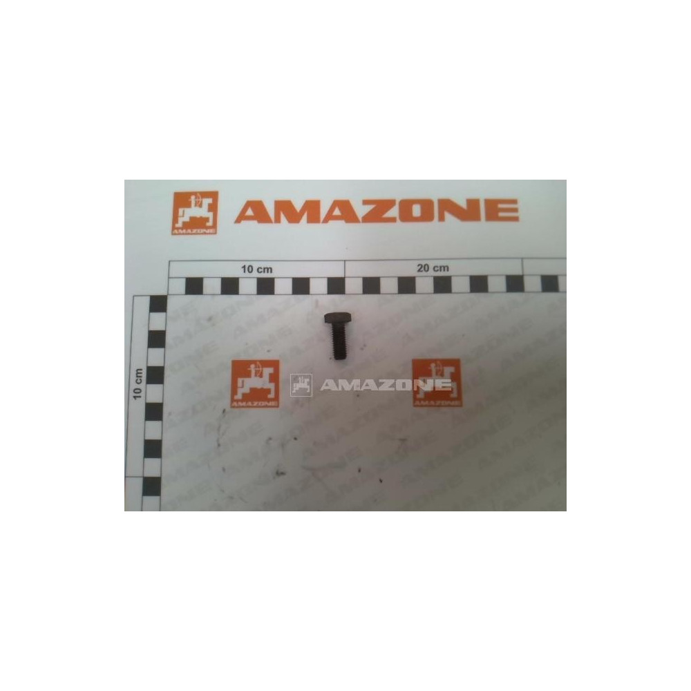 Vis 08X 20 4017 8.8 DC029 Amazone