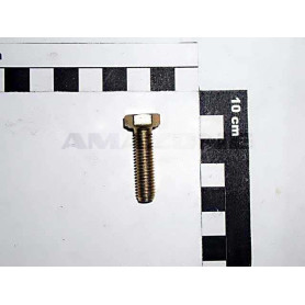 Vis 08X 30 4017 8.8 A2G DC038 Amazone