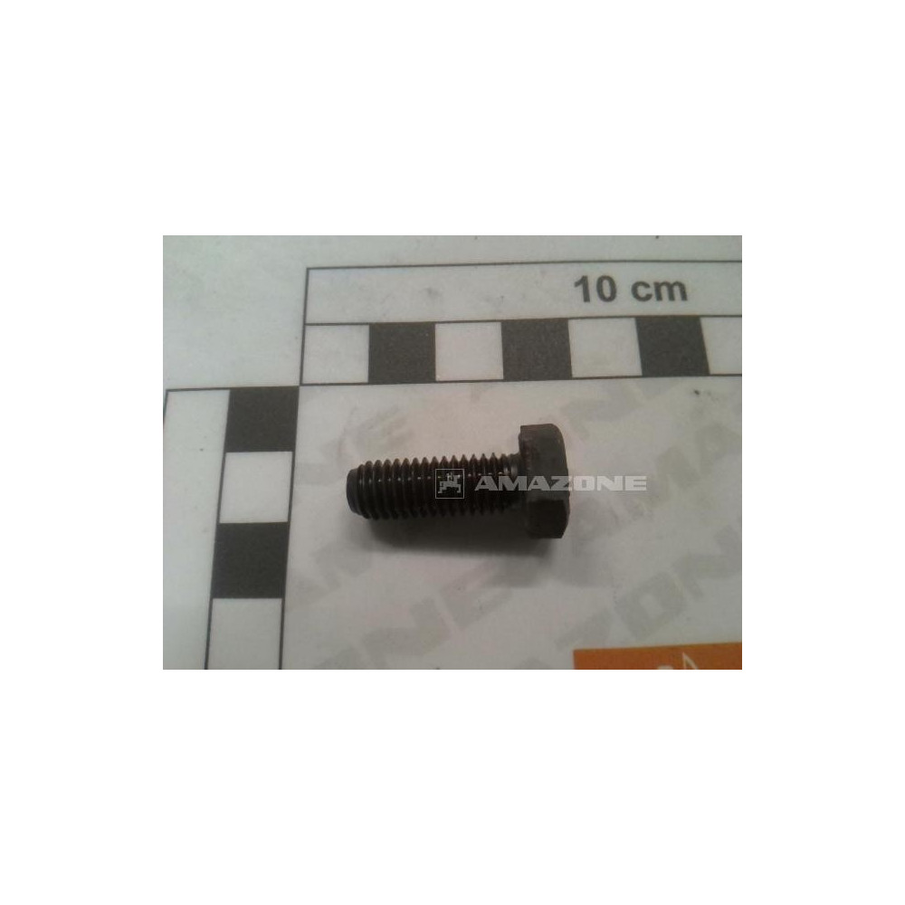 Vis 8X22 8.8 DC032 Amazone