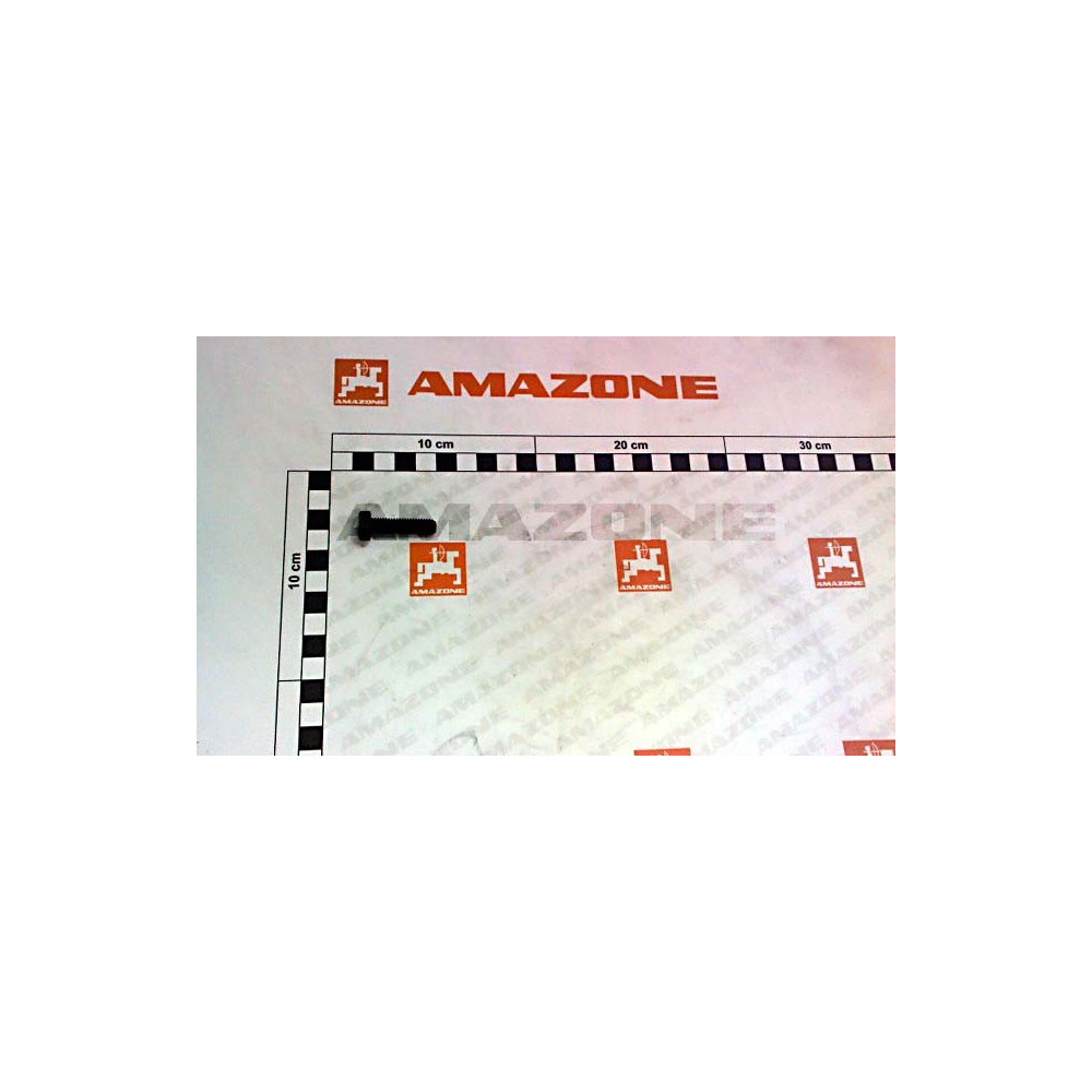 Vis 08X 30 4017 8.8 DC037 Amazone