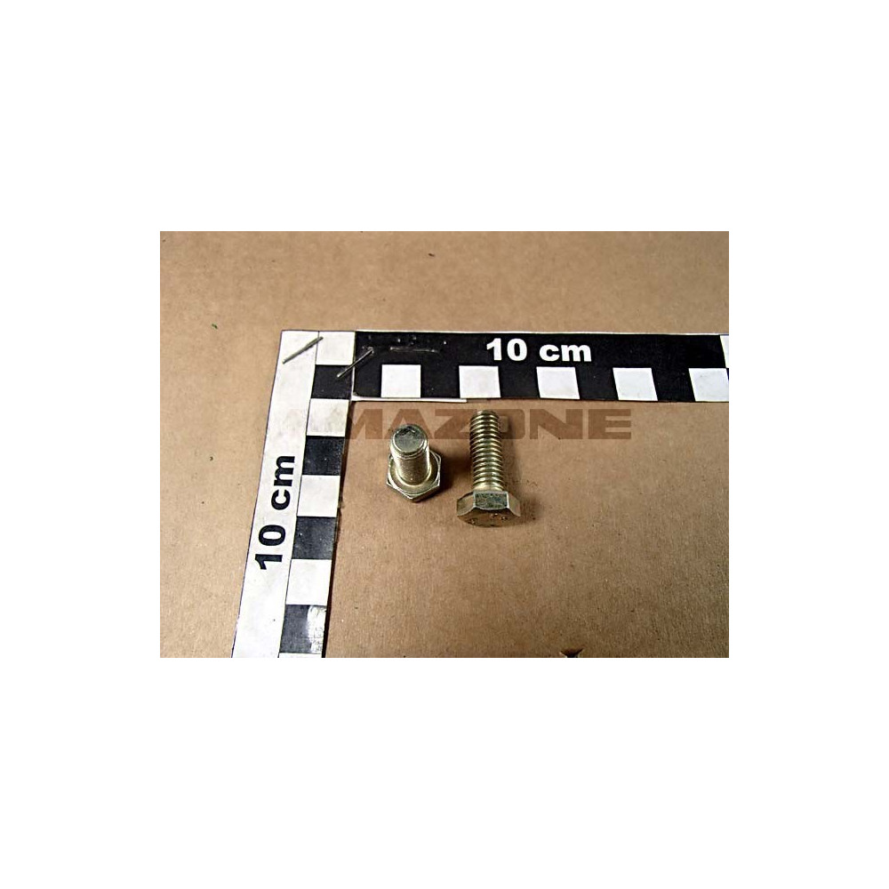 Vis 08X 22 4017 8.8 A2G DC033 Amazone