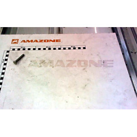 Vis 08X 45 4017 8.8 A2-70 DC045 Amazone