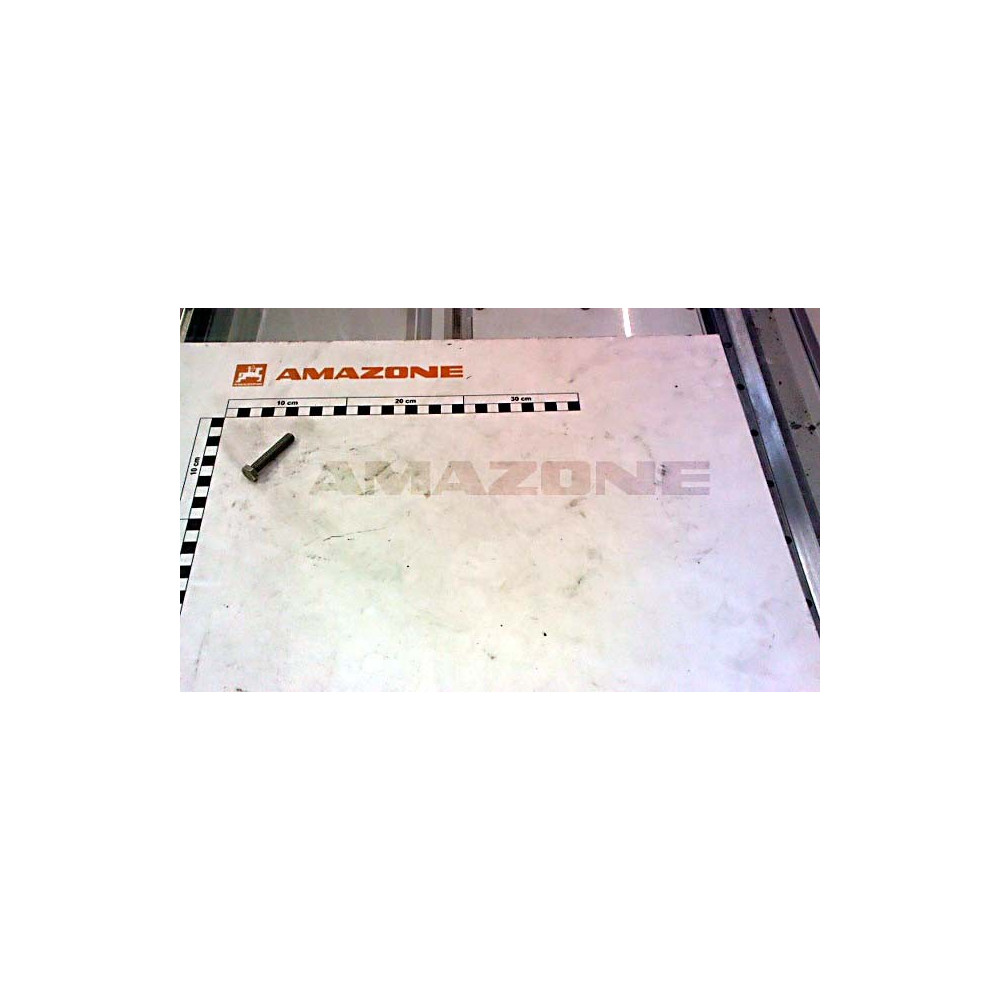 Vis 08X 45 4017 8.8 A2-70 DC045 Amazone
