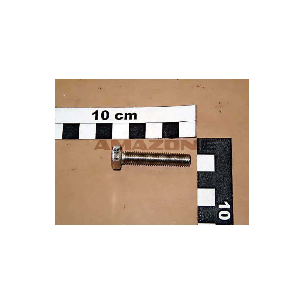 Vis 08X 40 4017 A2-70 DC043 Amazone