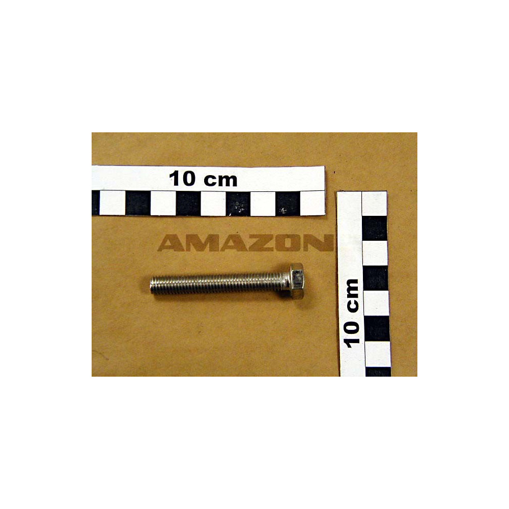 Vis 08X 55 4017 A2-70 DC048 Amazone