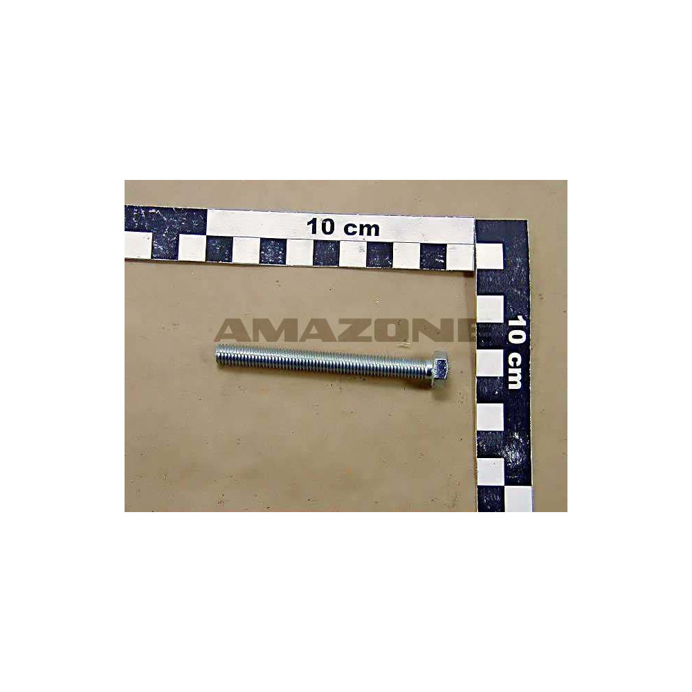 Vis 8X80 A2G PH04-05 DC053 Amazone
