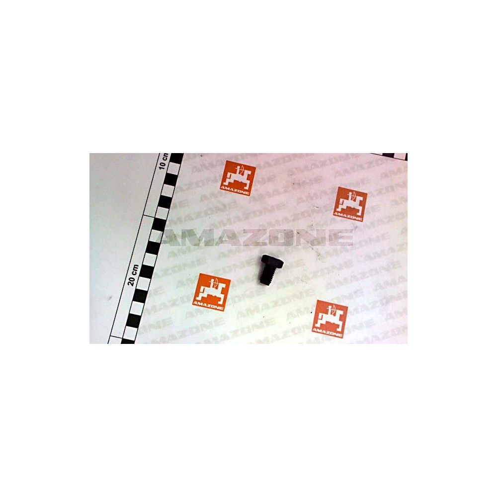 Vis 10X16 8.8 DC056 Amazone