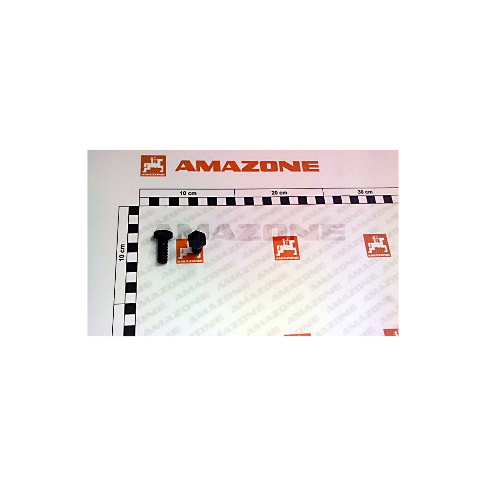 Vis 10X 25 4017 8.8 DC062 Amazone
