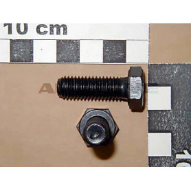 Vis 10X30 8.8 4017 EKS DC065 Amazone