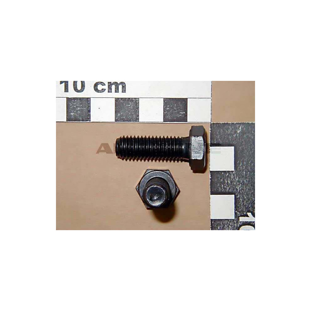 Vis 10X30 8.8 4017 EKS DC065 Amazone
