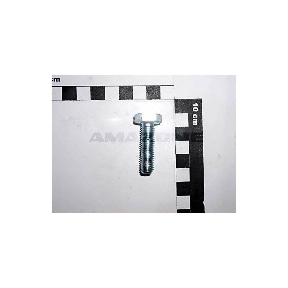 Vis 10X 35 4017 8.8 A2G DC068 Amazone